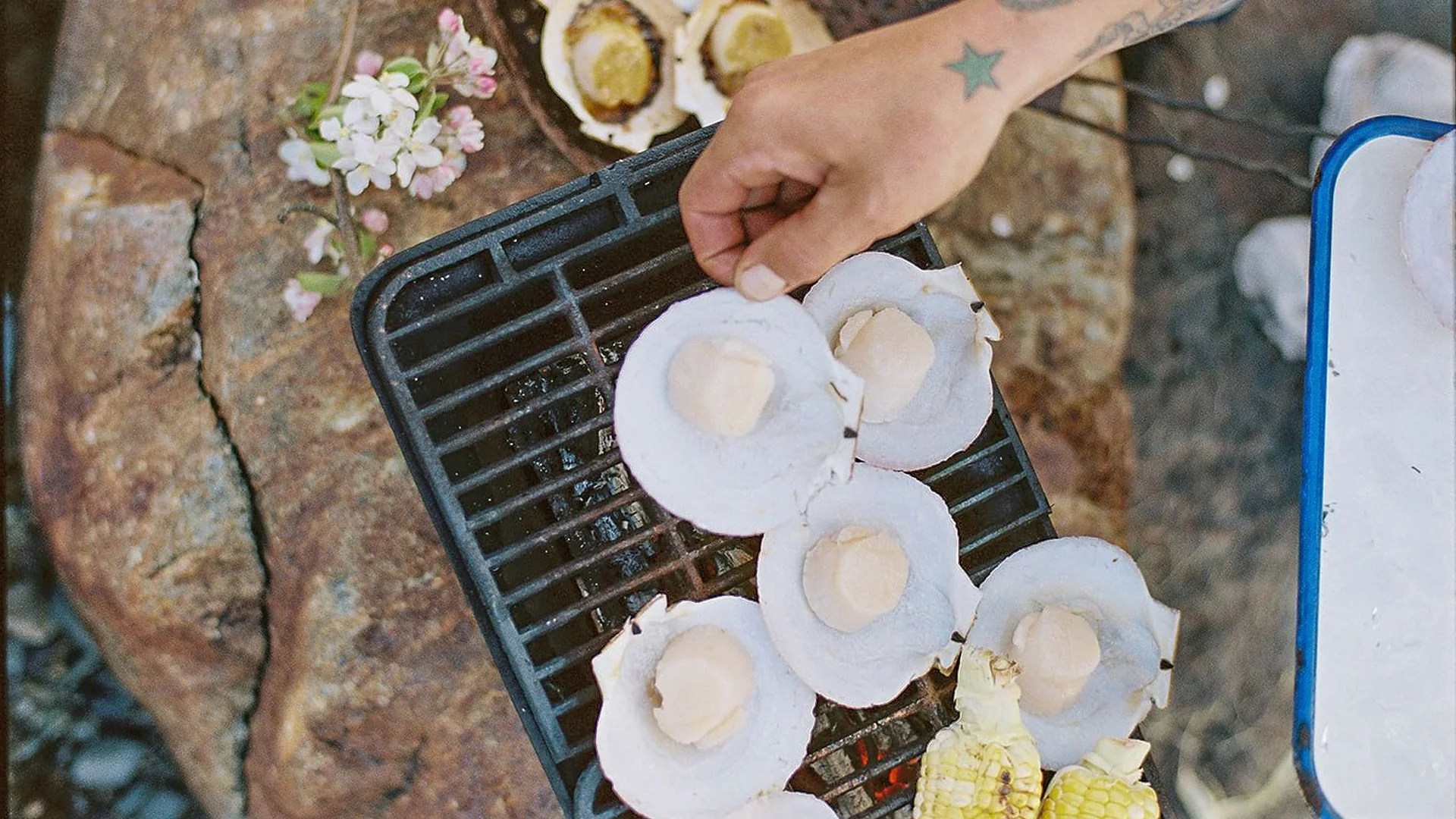 Fresh Oysters Delivered Overnight
